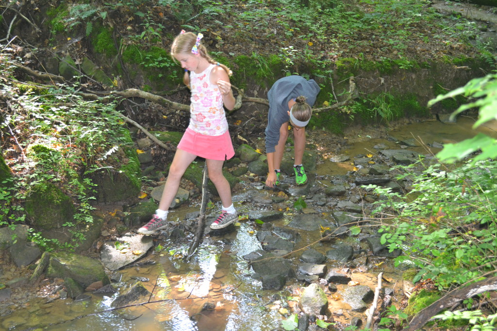 Activities at Camp Hidden Hollow Camp